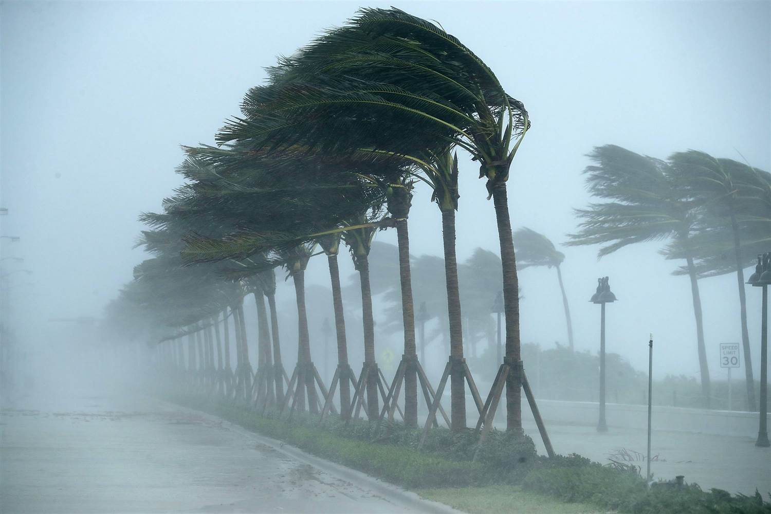 Hurricane Irma, Sacrifice & the Resurrection